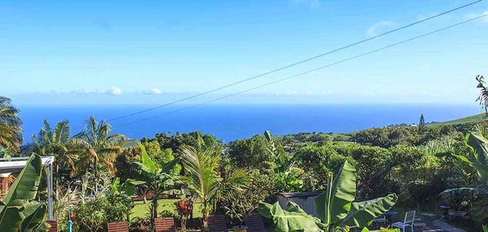 L'Escapade Creole Jacuzzi Privatif Bungalow Bananier Saint-Joseph Eksteriør bilde